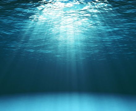 360_F_134537443_VendrqyXIWyHrZgxdIsfyKUost734JDP