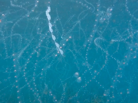 Screen Shot 2025-08-30 at 1.02.24 PM