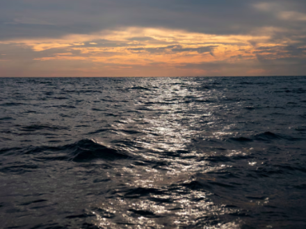 Screen Shot 2025-08-30 at 1.14.34 PM