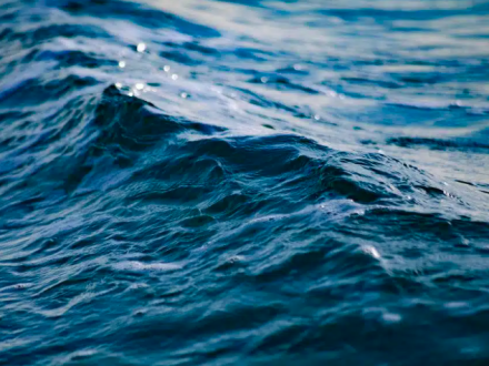 Screen Shot 2025-10-26 at 1.09.15 PM