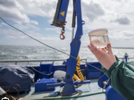 Screen Shot 2025-10-26 at 1.13.54 PM