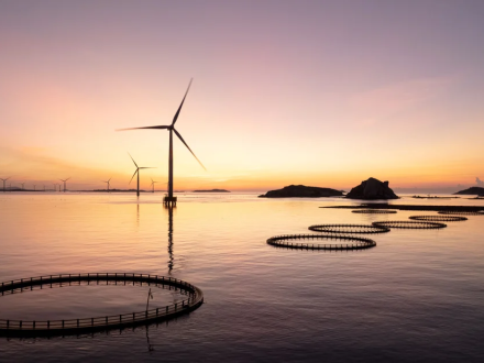 new-un-protocol-charts-investment-pathway-for-a-sustainable-blue-economy